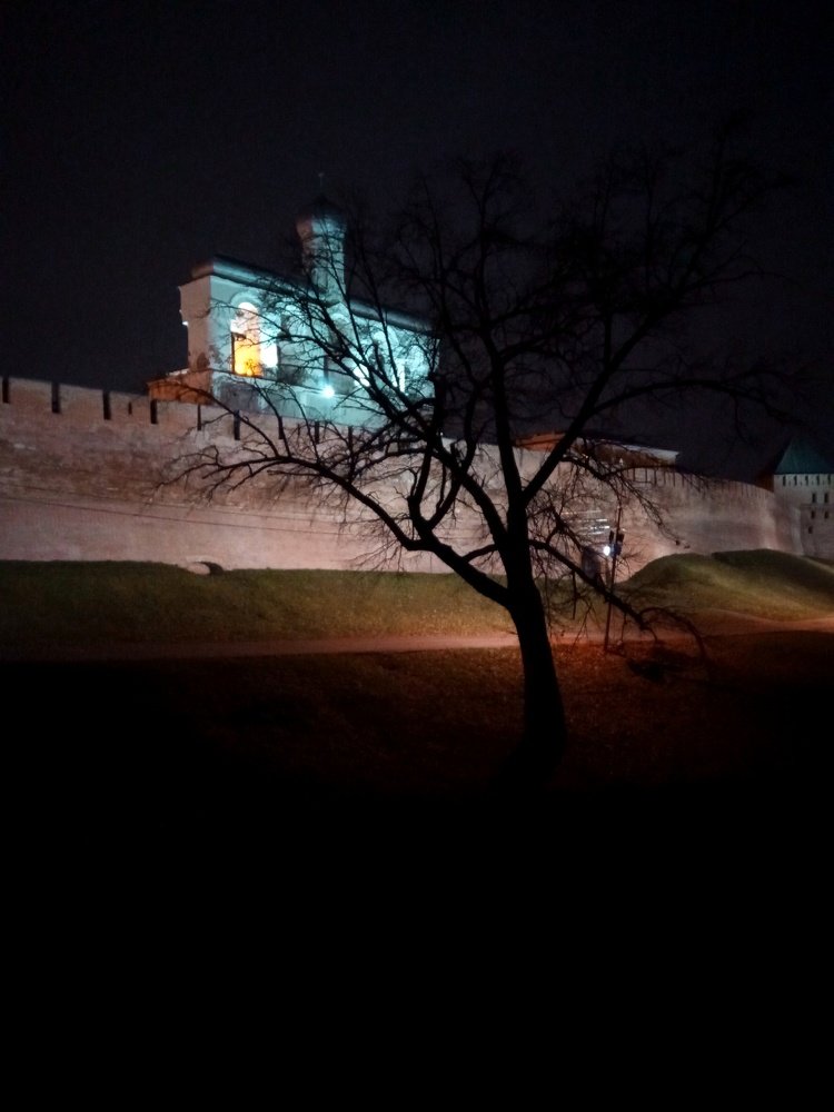 Ночь. Дерево. Стена.