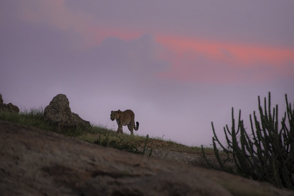 A twilight over her magical territory