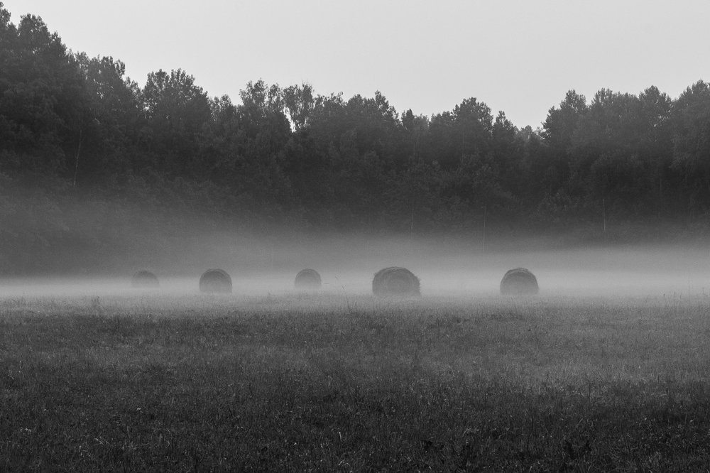 Фотография автора Андрей Логвинович