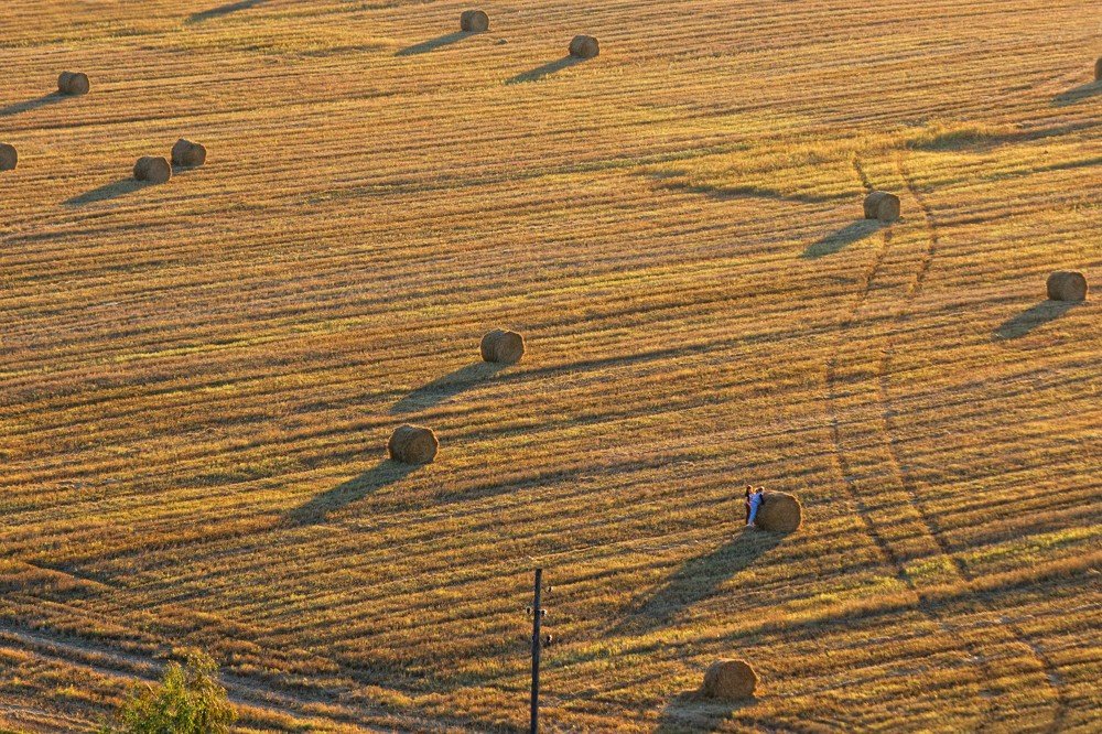 С высоты птичьего полета!