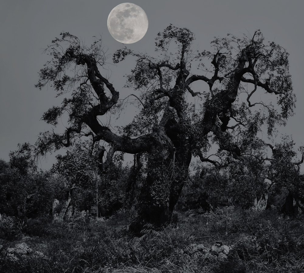 Photograph by Jorge Pedro Caggiano Perez