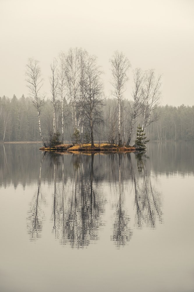 Photograph by Светлана Краюшкина