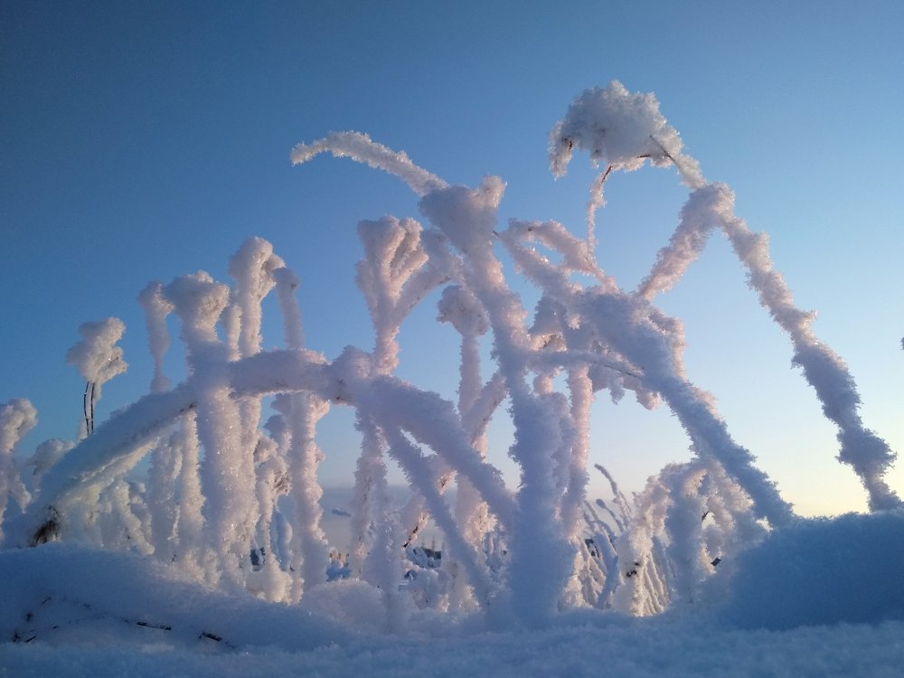 Photograph by Альбина Рычкова