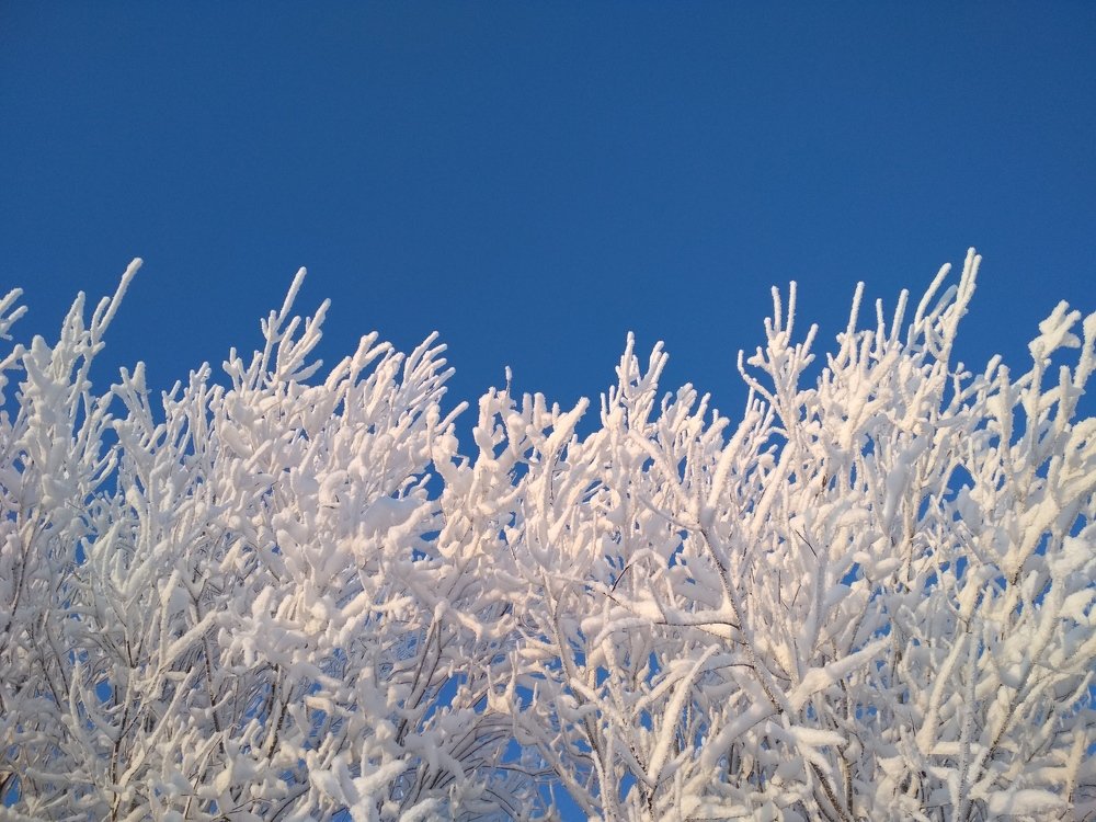 Photograph by Альбина Рычкова