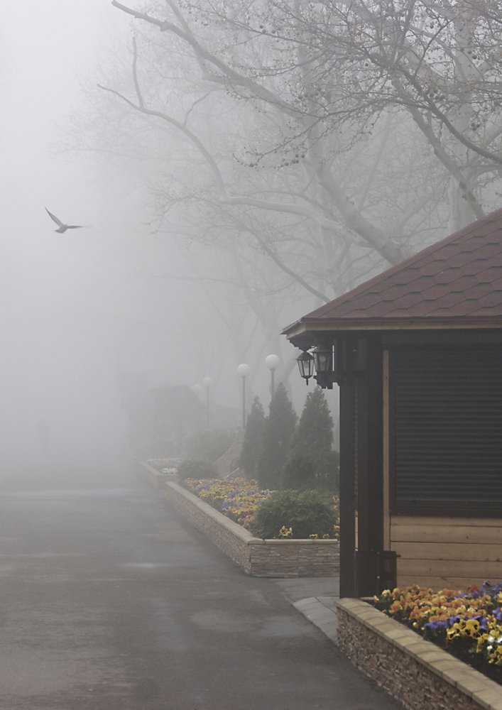 Photograph by Роман Рыжков