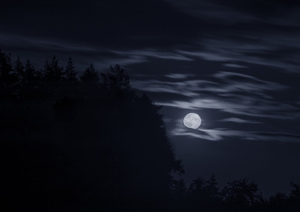 Photograph by Роман Рыжков