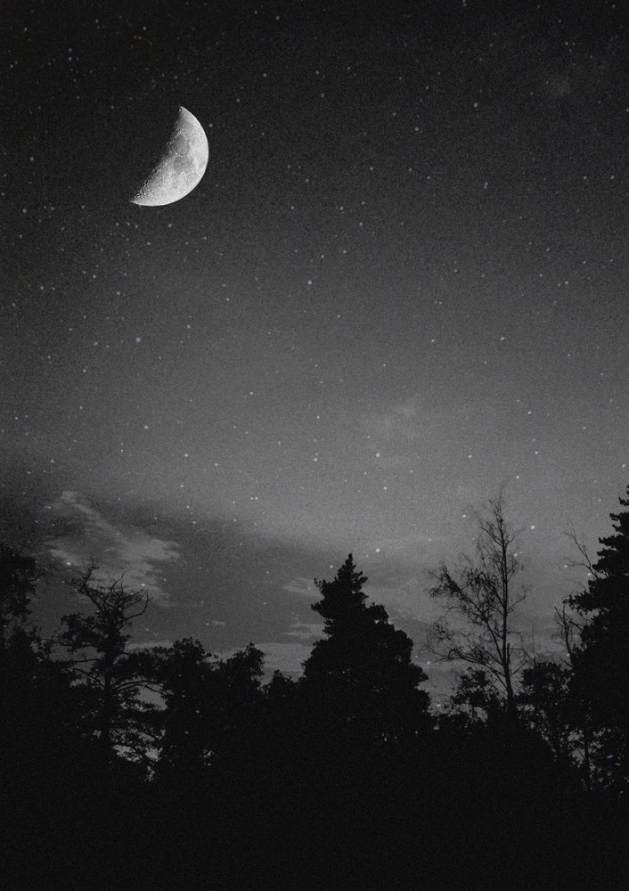 Photograph by Роман Рыжков