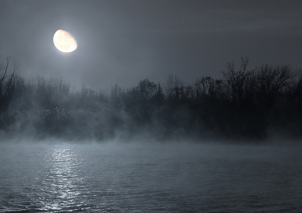 Photograph by Роман Рыжков