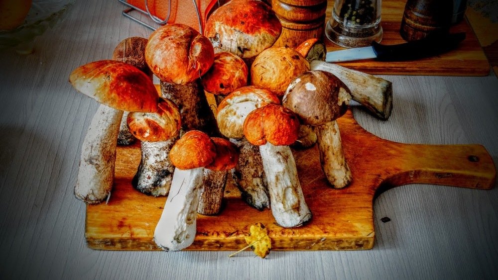 Photograph by Zelenjkl Artem