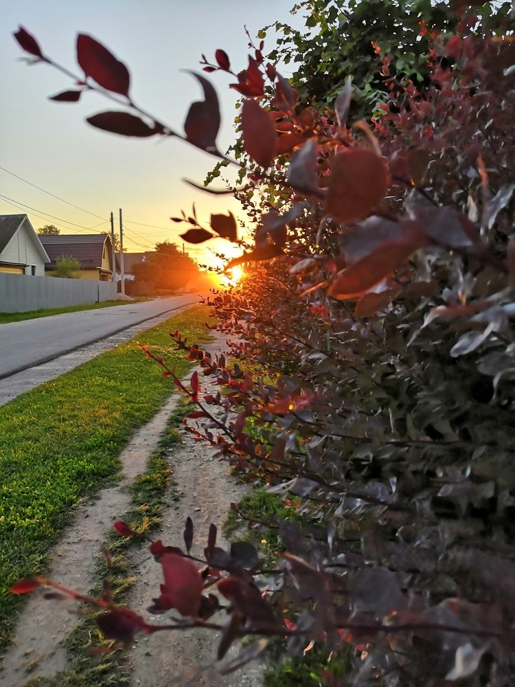 Photograph by Анна Голенева