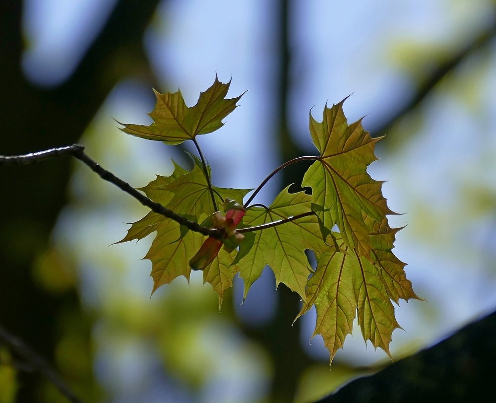 Photograph by Наталья