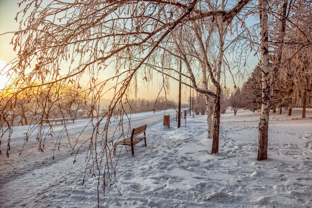 Январский день в Красноярске