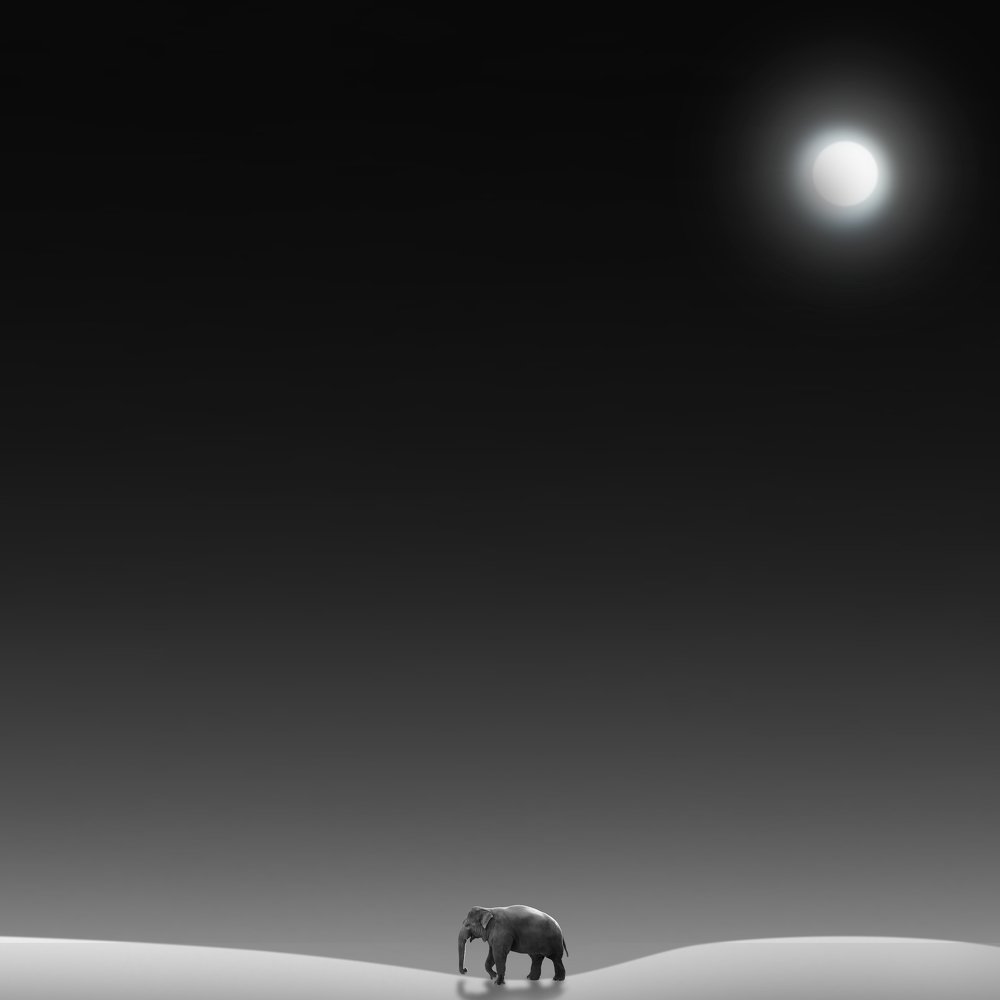 Photograph by Maryam Hasani