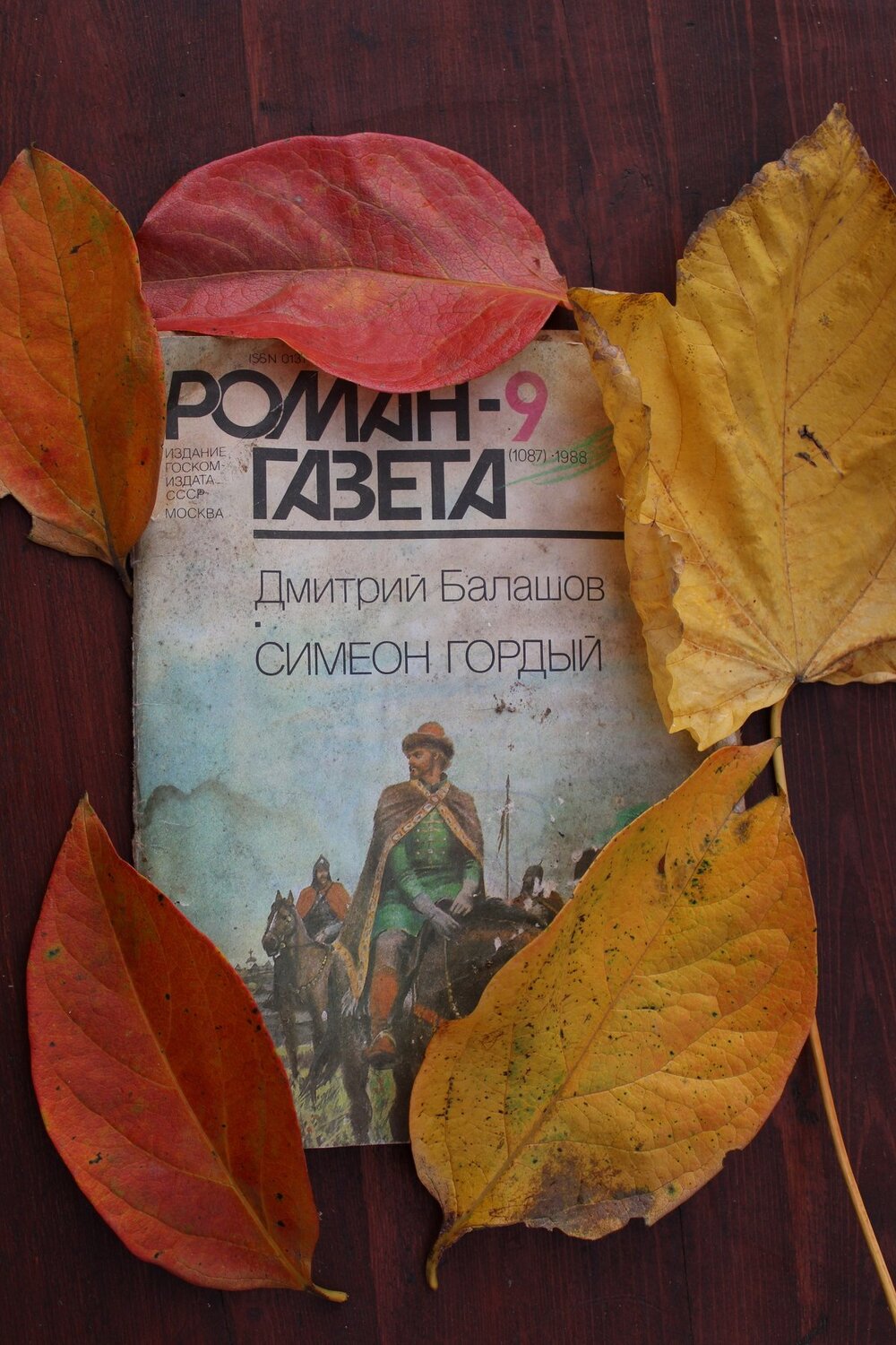 Photo #3954986