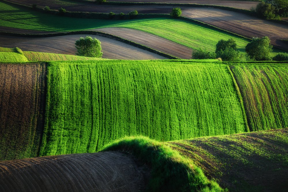 Photograph by Figat Marcin