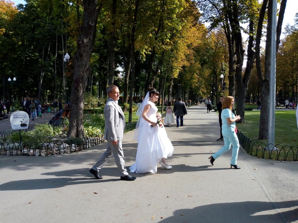 Photograph by Татьяна Пальчикова