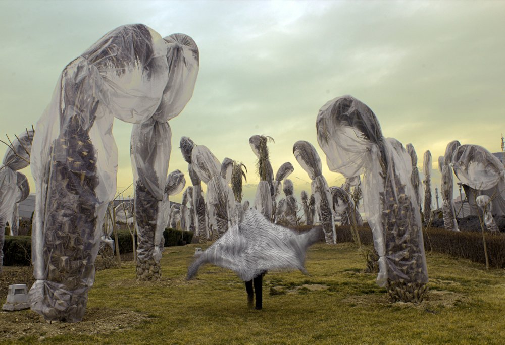 Photograph by Mohammad Dadsetan