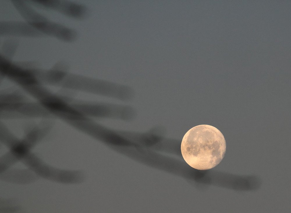 Photograph by Ірина Шандрук