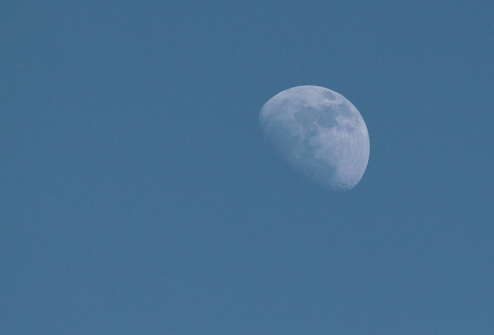 Photograph by Ірина Шандрук