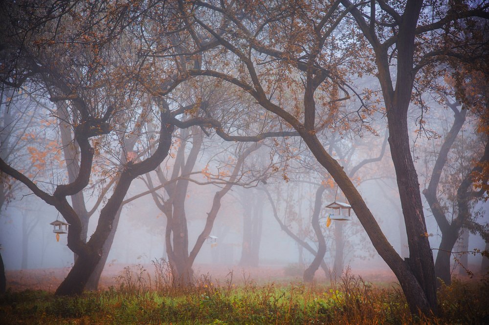 Photograph by Martin Vysoudil