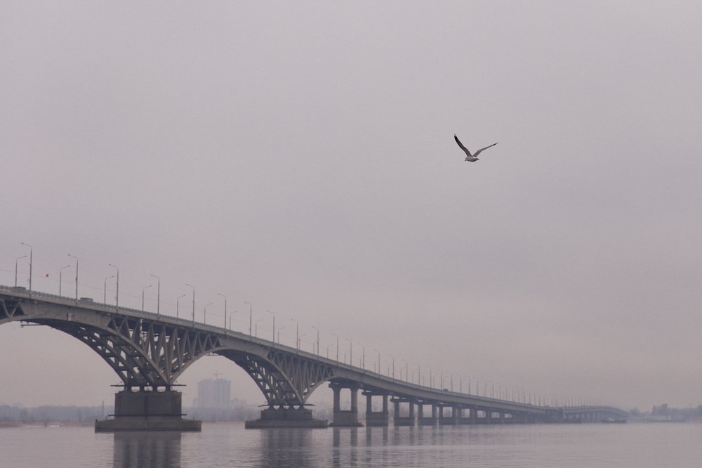 Photograph by  Anastasia