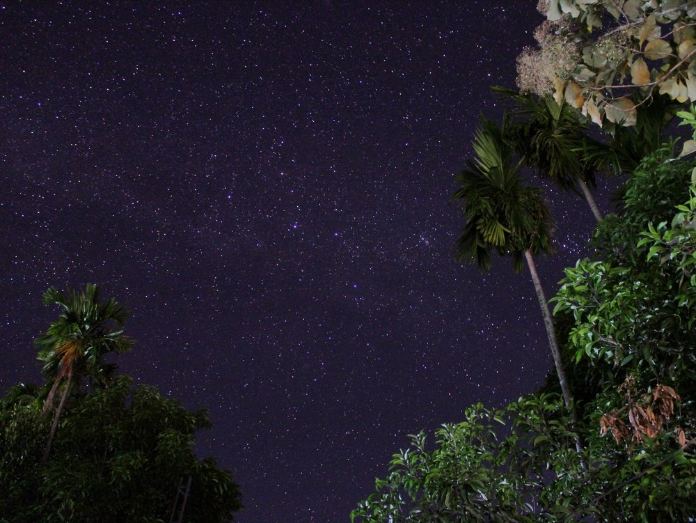 Photograph by Bidyut Kalita
