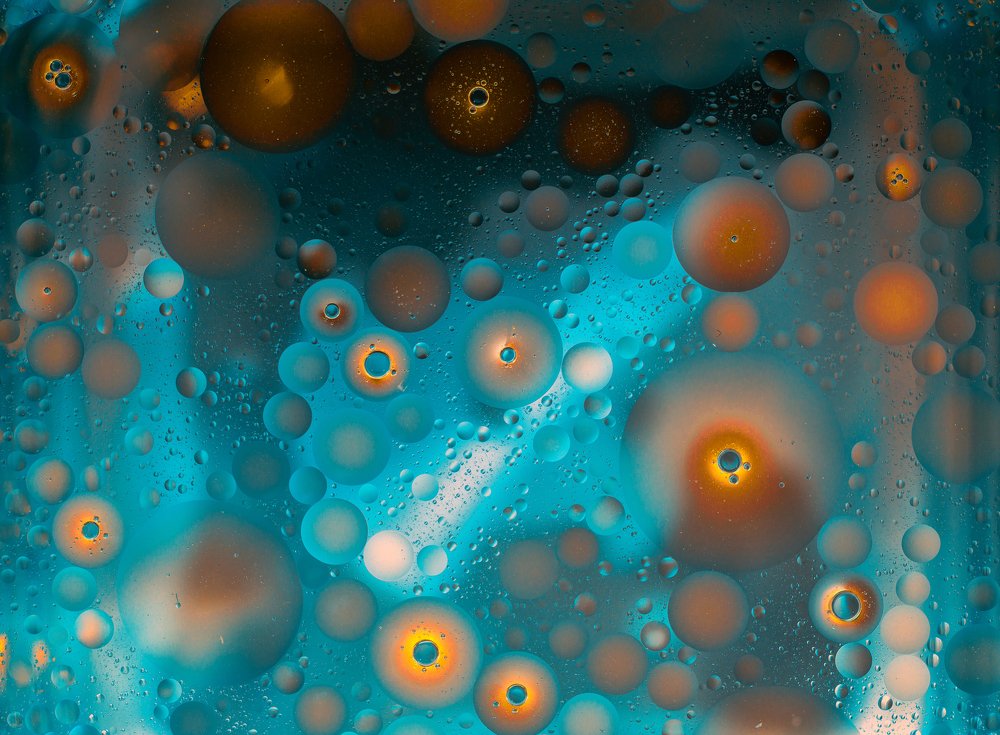 Photograph by Alaa Seif Eddine