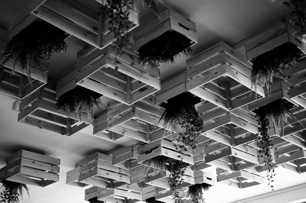 Photograph by Bronislava Brozova