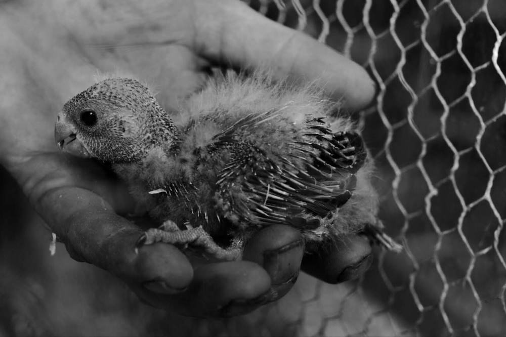 Photograph by Bronislava Brozova