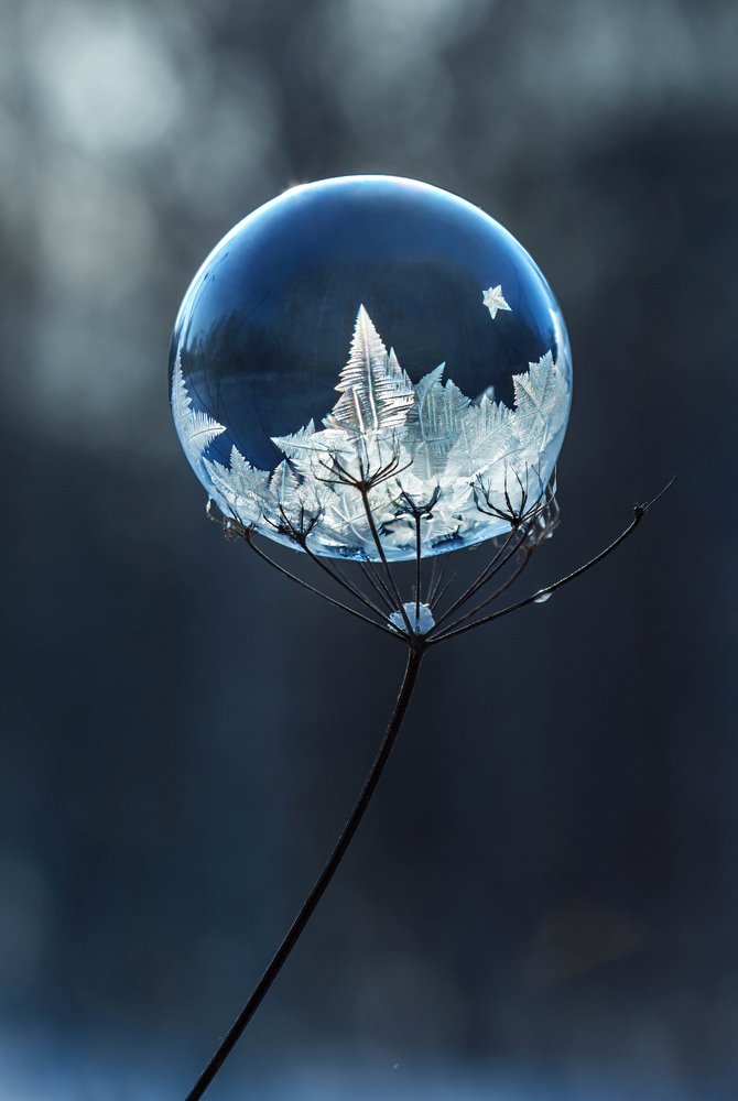 Фотография автора Andrey Pristyazhnyuk