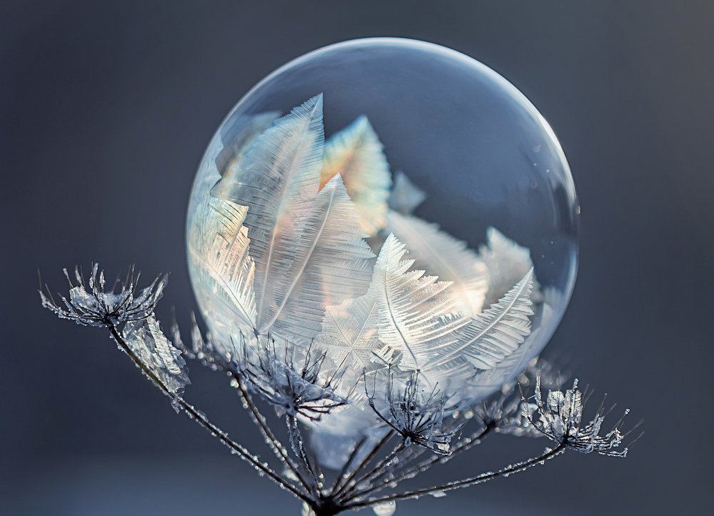 Фотография автора Andrey Pristyazhnyuk