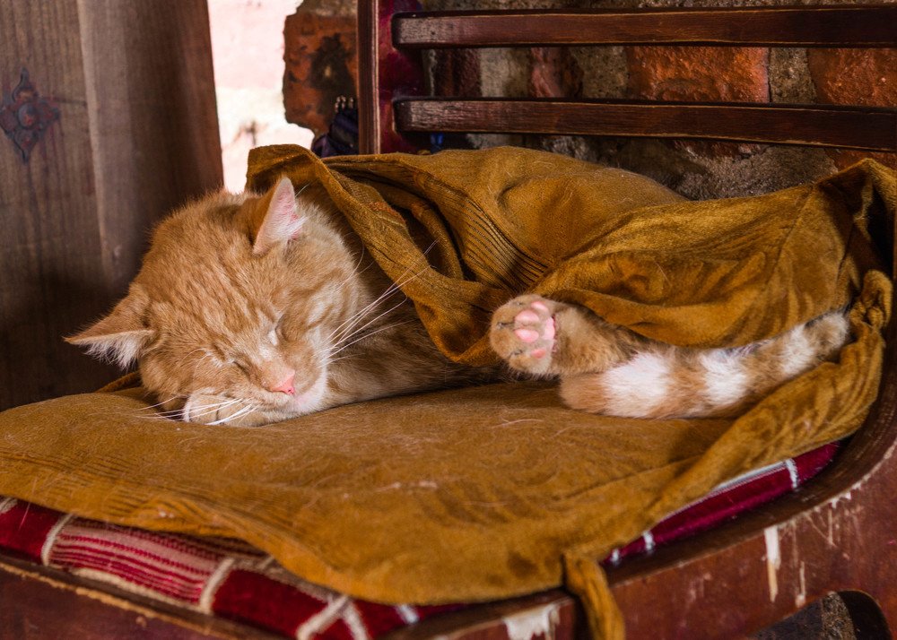 Photograph by Aleksandr Slyusarev