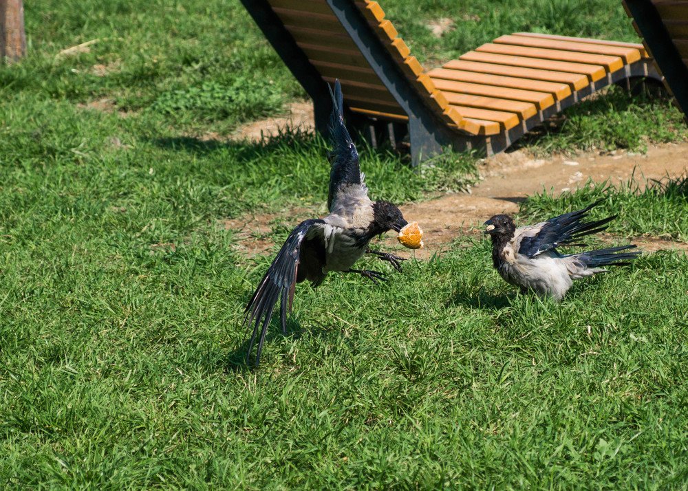 Photograph by Aleksandr Slyusarev