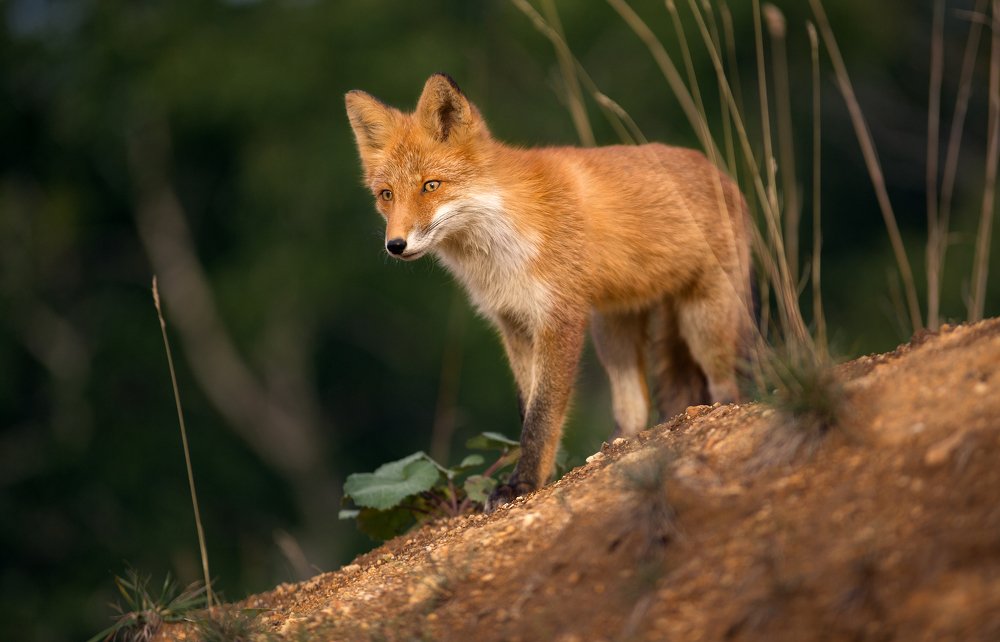 Photograph by Артем Удодов