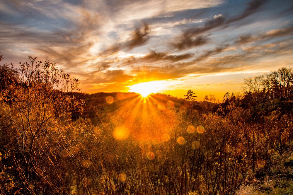 Фотография автора Маргарита Басова