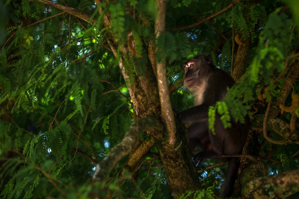 Photograph by rahim rahmad