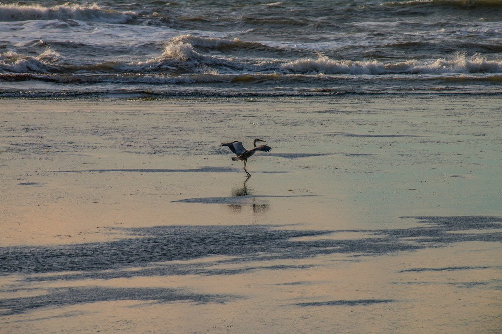 Фотография автора Маргарита Басова