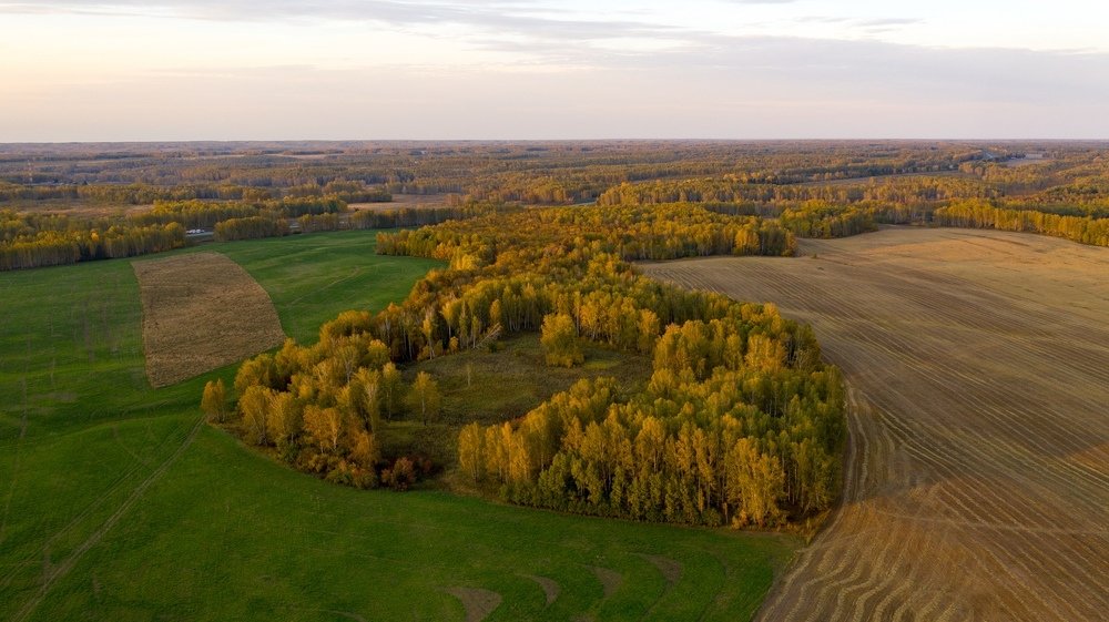 на контрасте