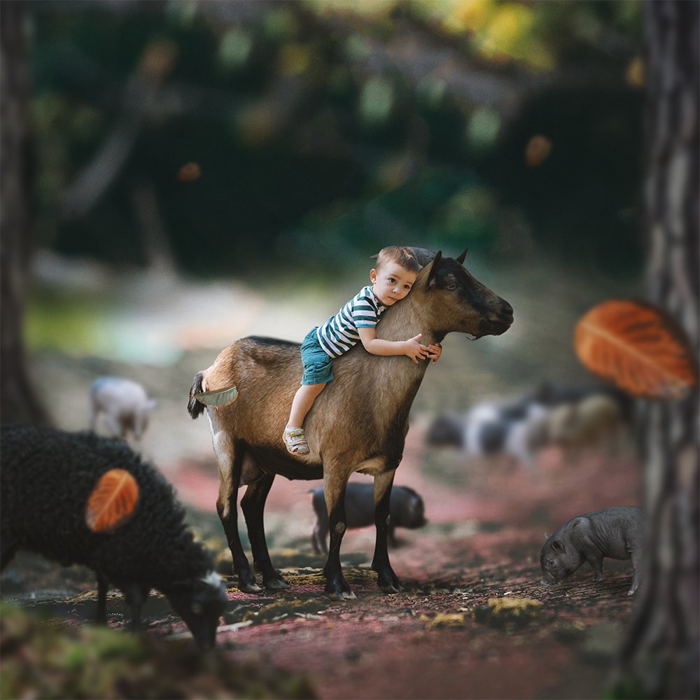 Photograph by Алла