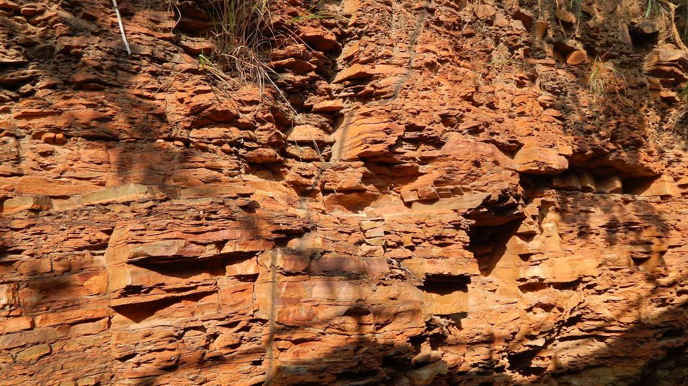 Photograph by s s subrahmanyam