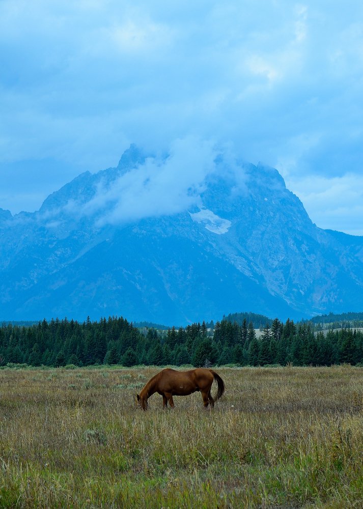 Photograph by eric keller