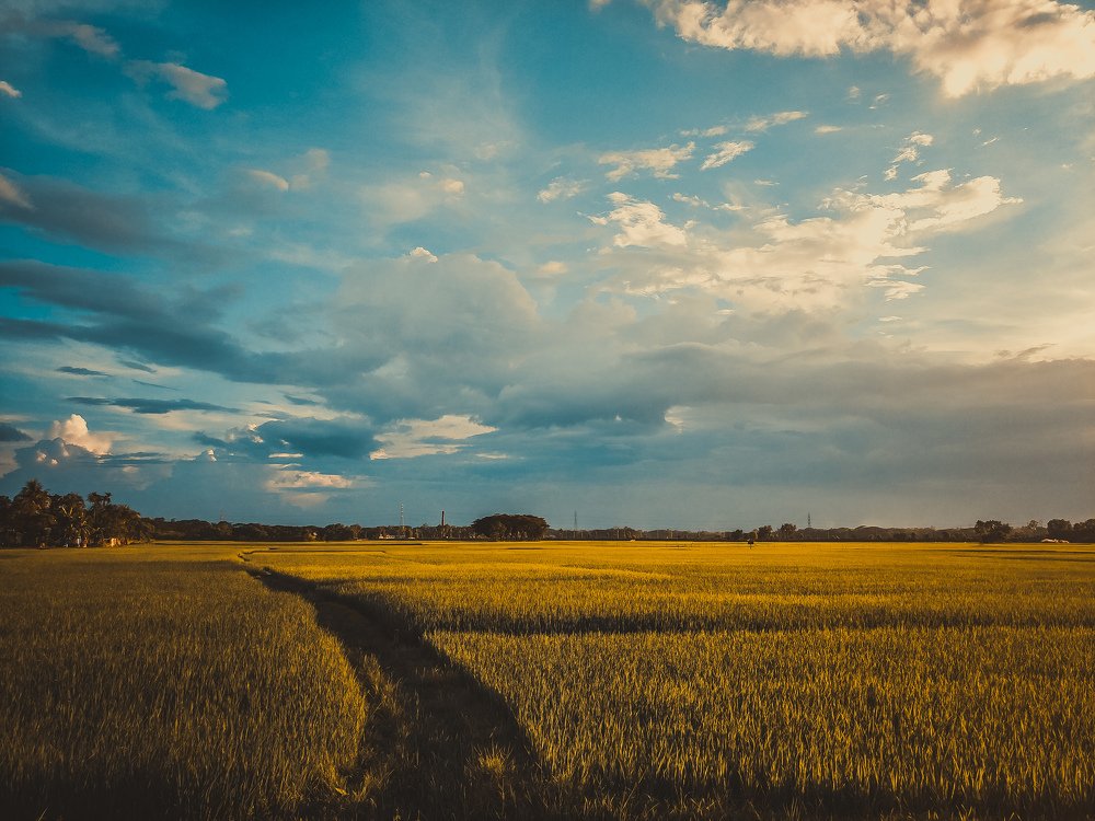 Photograph by Towfiq Hasan Khan