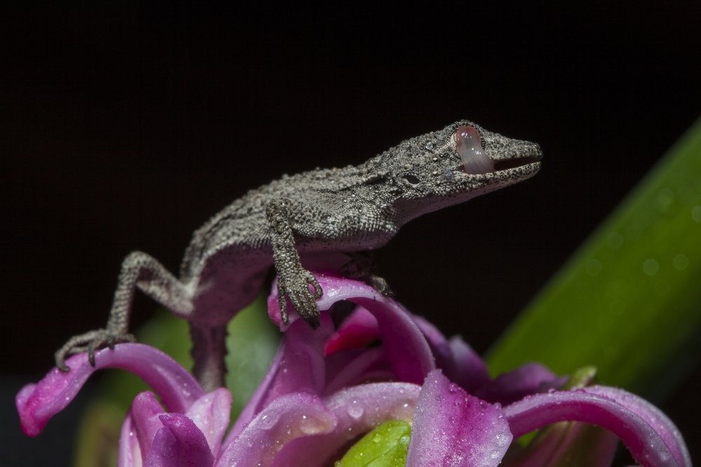 Photograph by Андрей Тайгунов