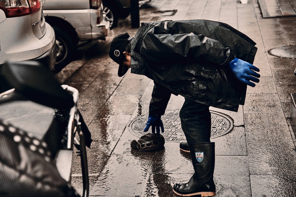 Photograph by Лиза Ананьева