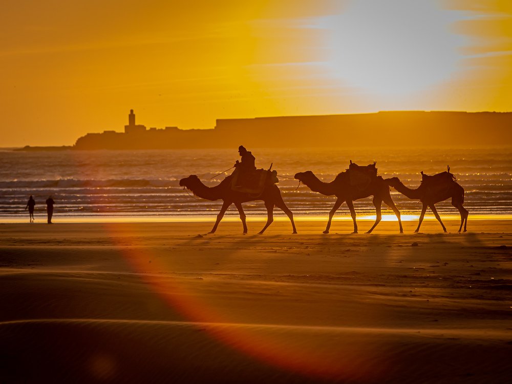 When the sun goes down...