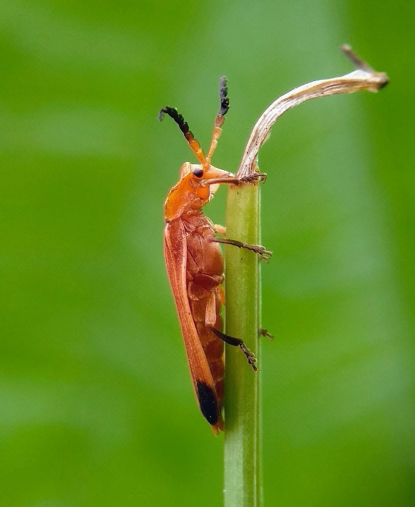 Photograph by Abhijit Roy