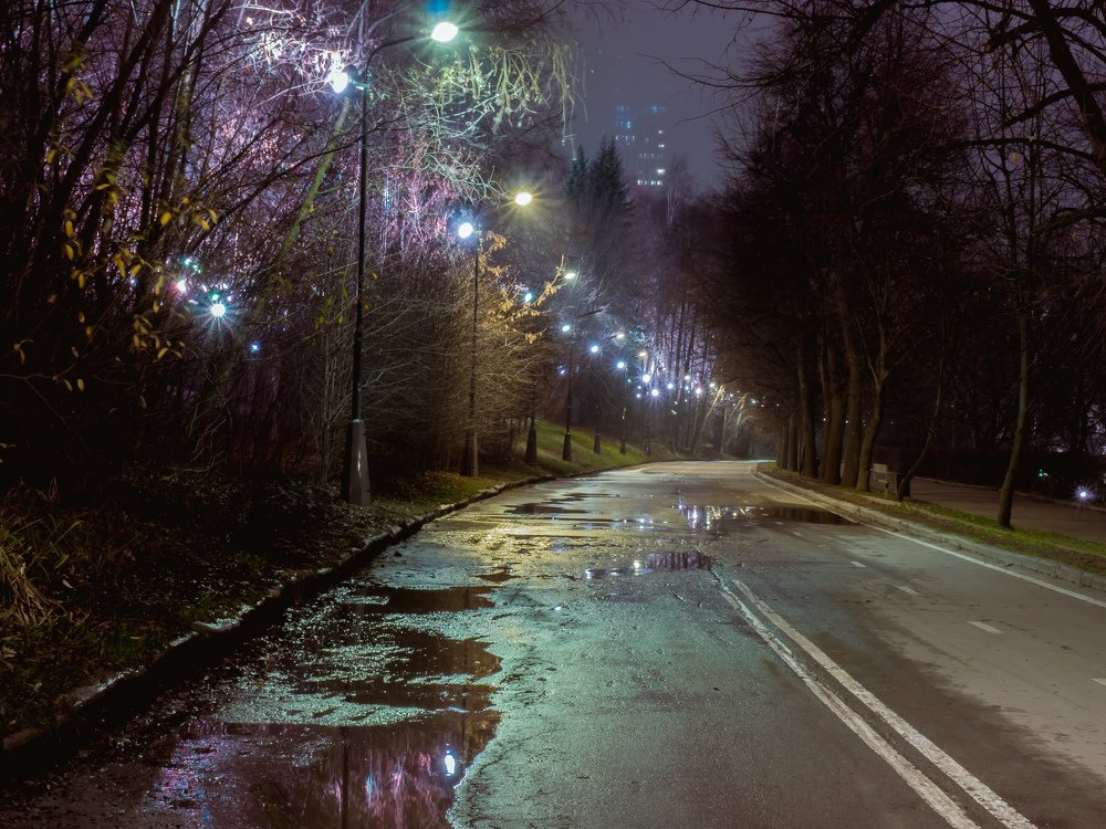 Photograph by Михаил Шохин