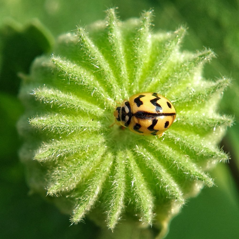 Photograph by Abhijit Roy