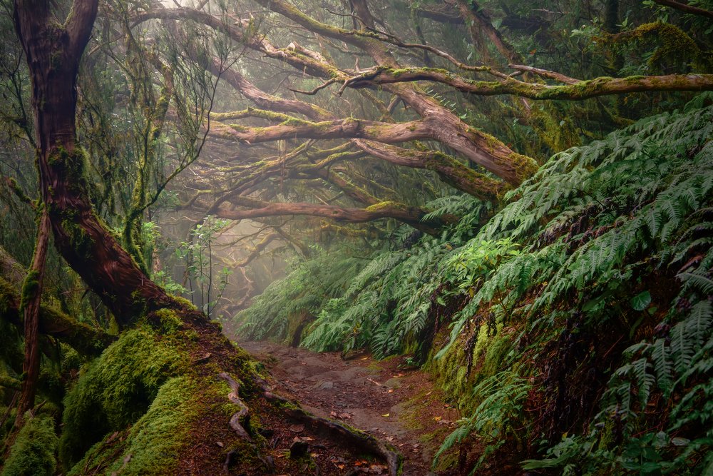 Photograph by Iurii Luchaninov