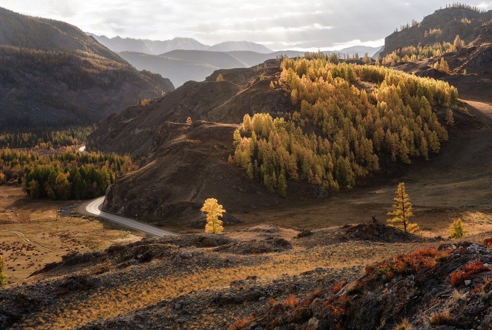 Вечернее золото Алтая...